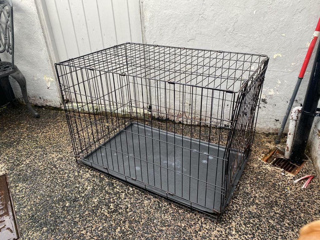 large dog crate gumtree